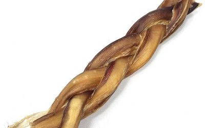 All About Braided Bully Sticks