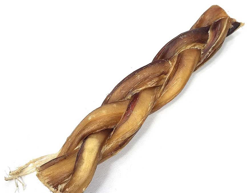 All About Braided Bully Sticks