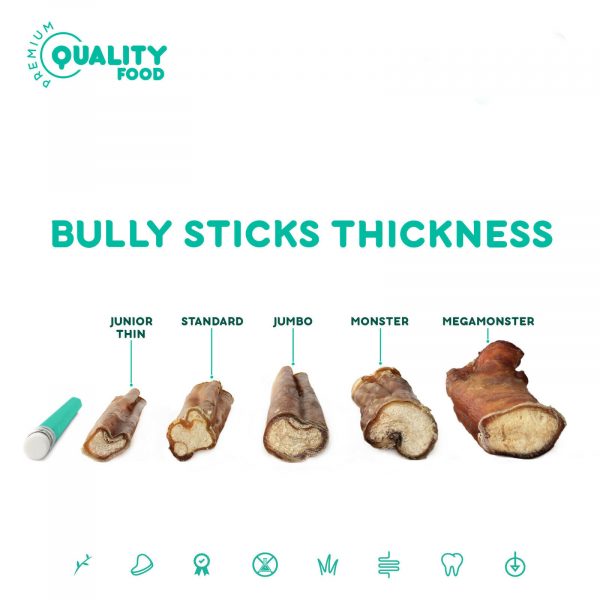 Bully Stick Thickness